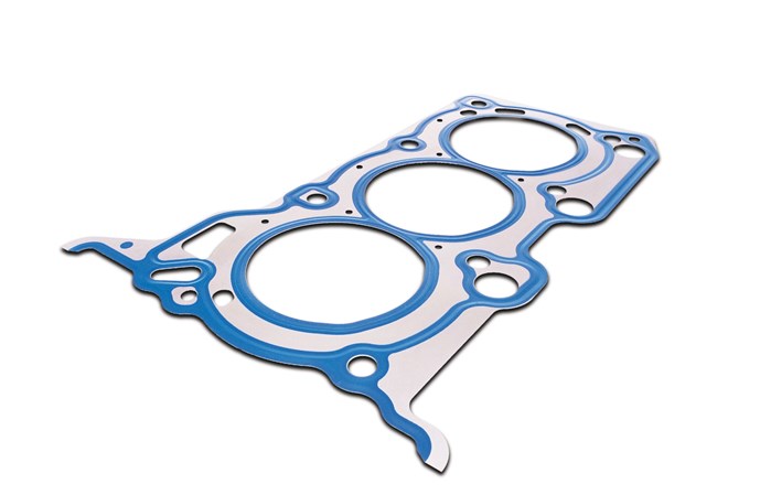 mls-gasket-alternate-5